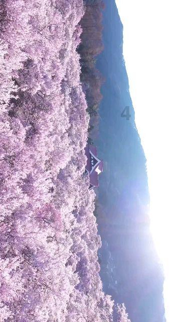 连休8天！鼓励除夕安排休息！河南2024春节放假通知来了！