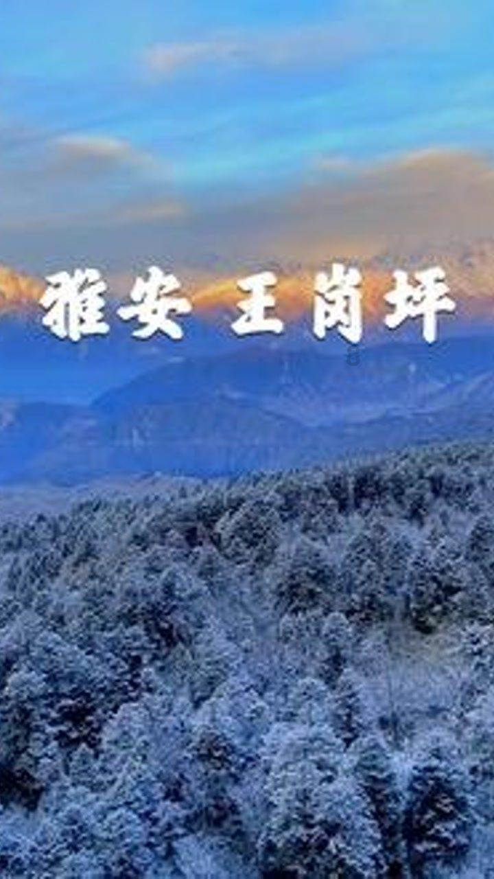 森林之神萨梯