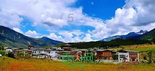 拯救精灵的土地5