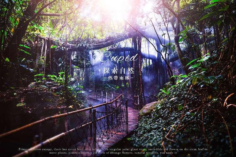 解锁你的智慧,尽在百度地图2022版apk