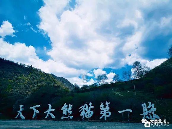 ​王嘉尔新纹身上热搜了！