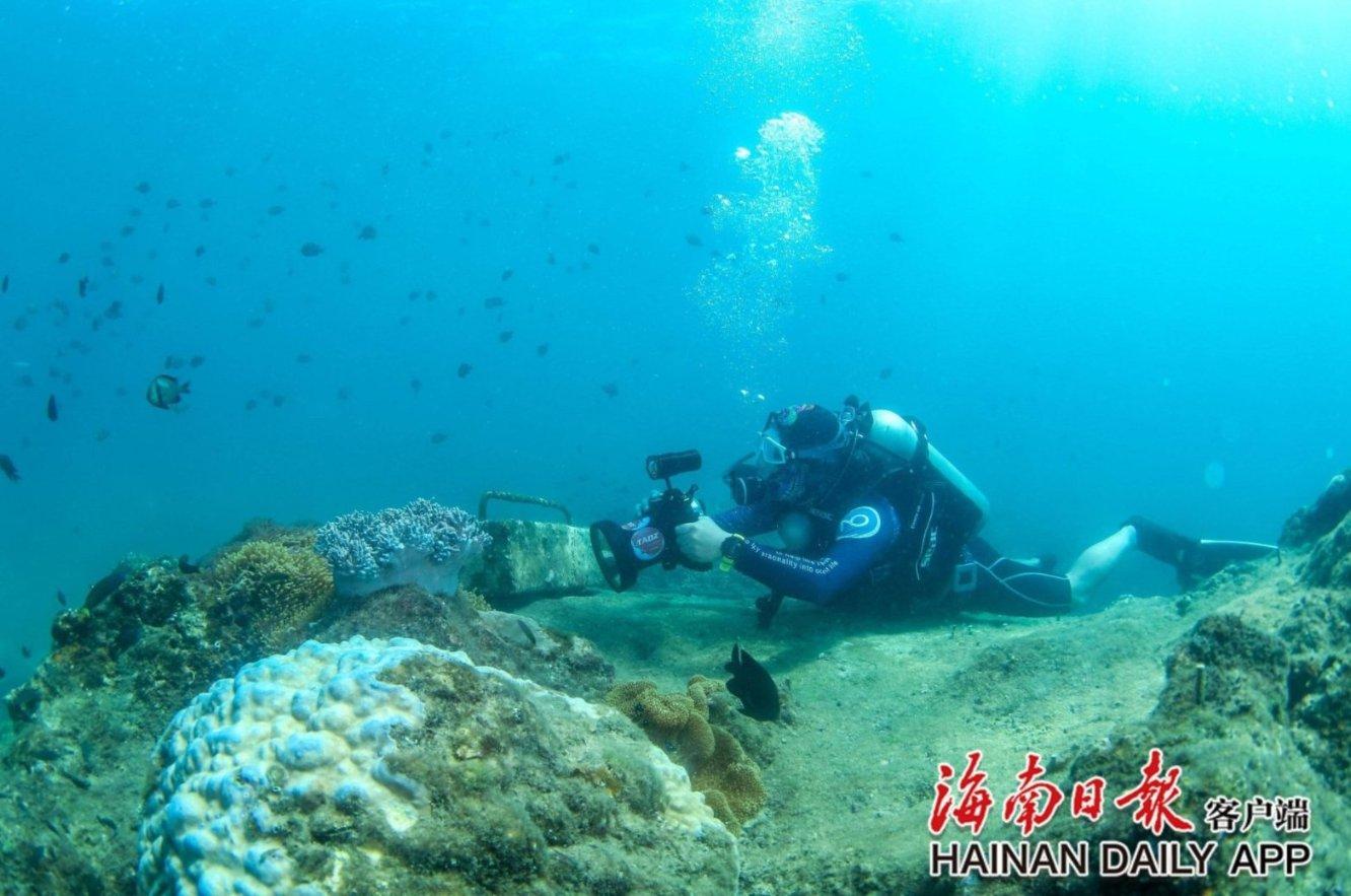 智联杭绍甬 高速新通道