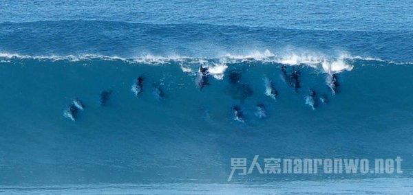 赵峥：二十载相爱，真爱姐弟恋，百分百好丈夫、好爸爸！