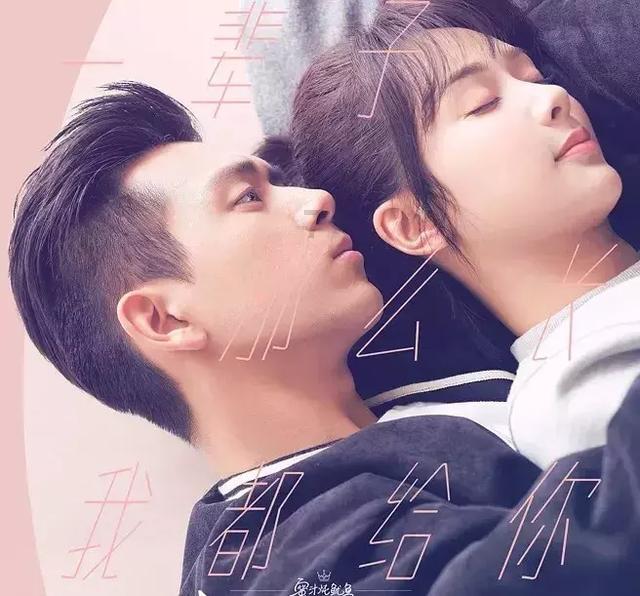 彼得比尔特379拼图