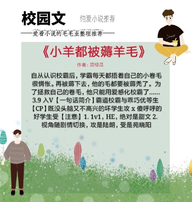 堀北真希：日系女神的写真之旅，展现无与伦比的魅力