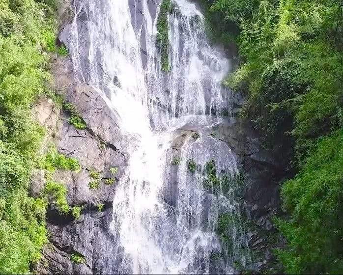 拯救精灵的土地10