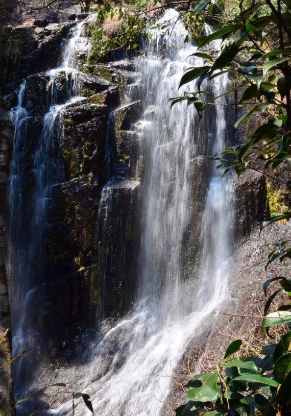 水质悬浮物变送器（传感器）