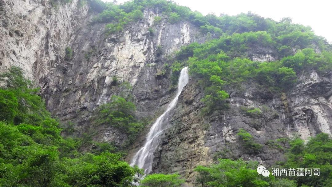 奥日与黑暗森林