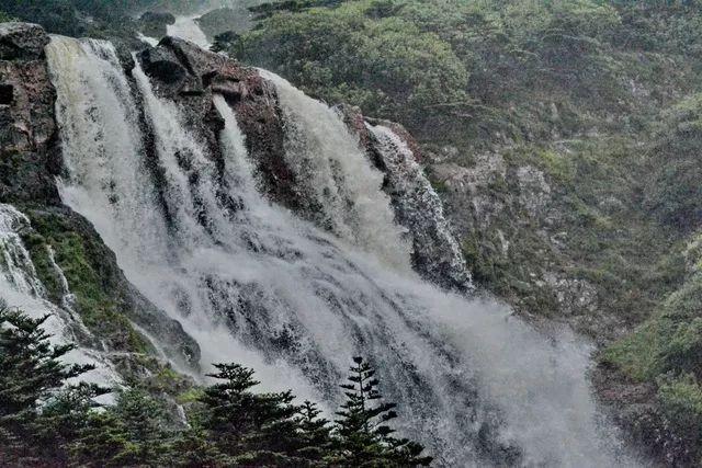 魔狐泡泡龙