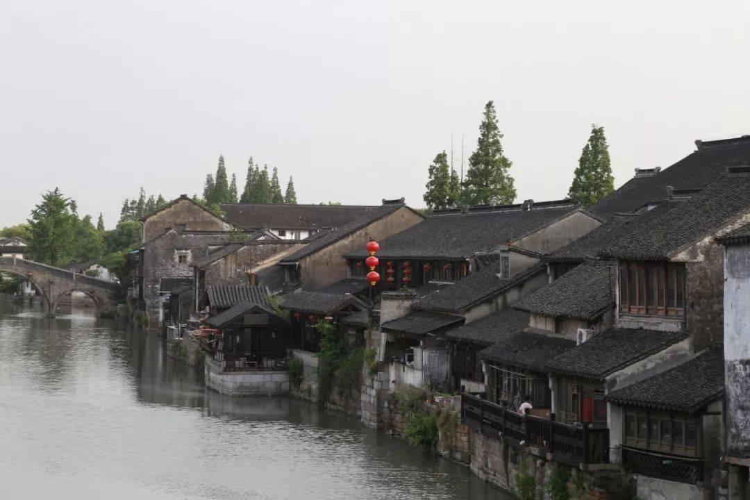 植物大战僵尸1