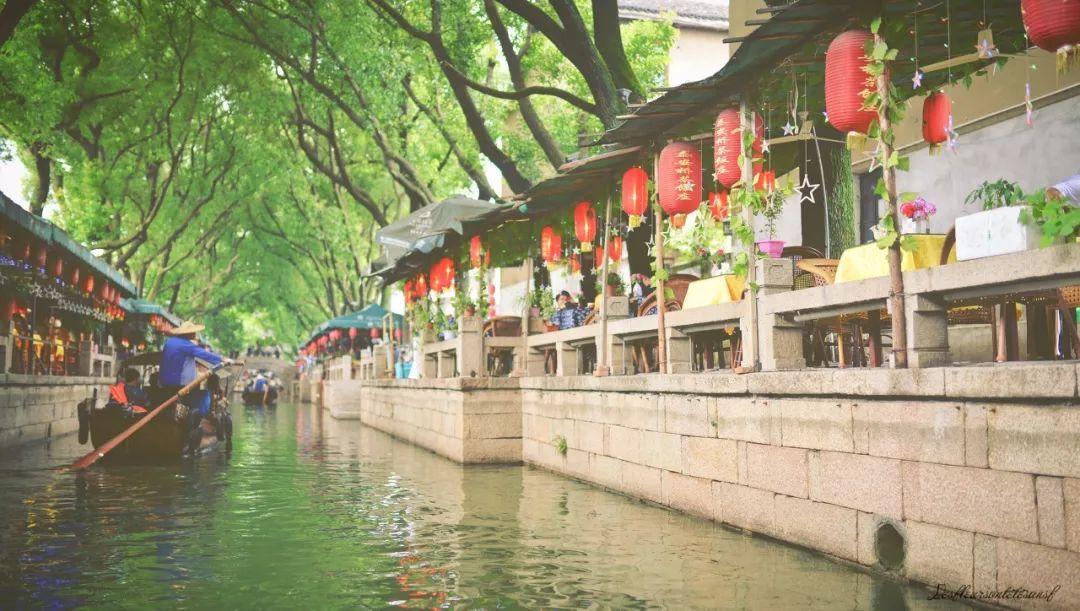 逃离龙的圣地