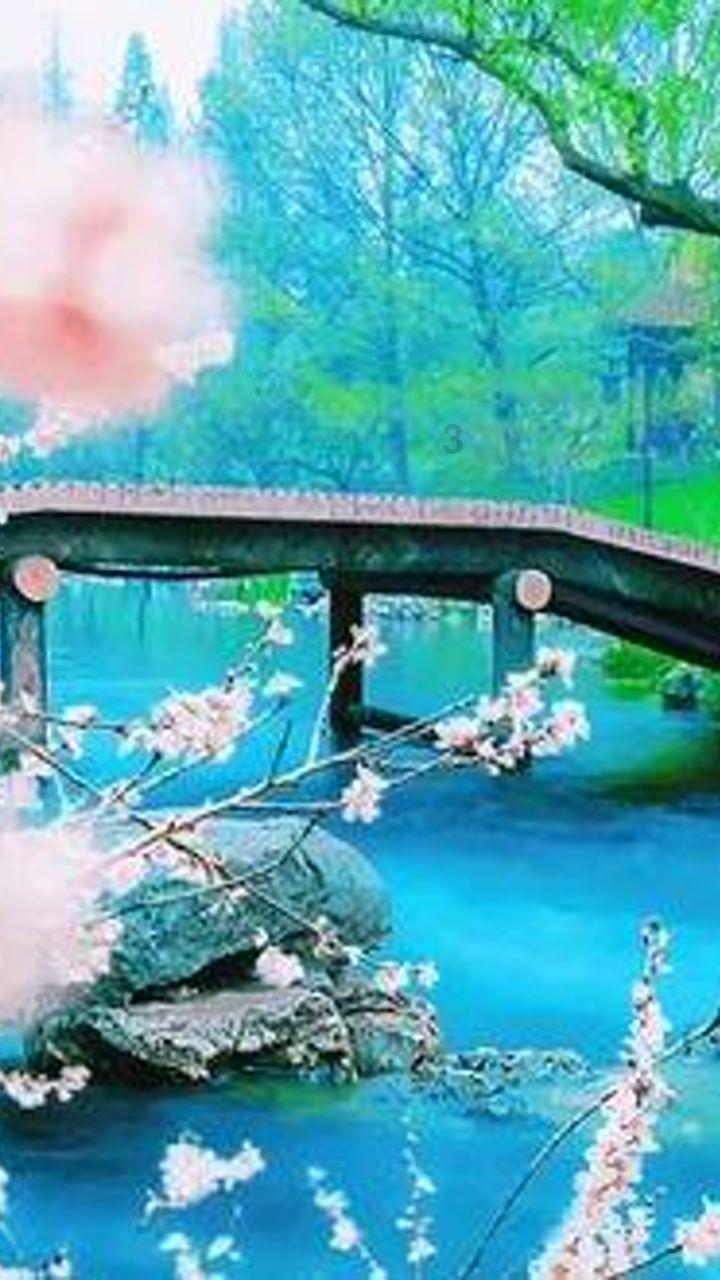 掌上《南安新闻》2024年1月23日